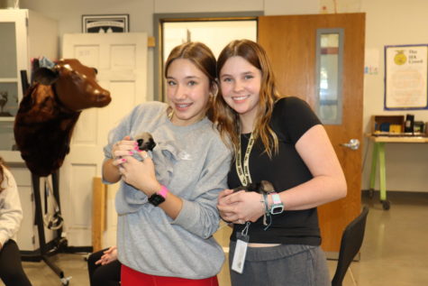 Excited students visit the Vet Tech classroom to see and hold the newborn puppies. 