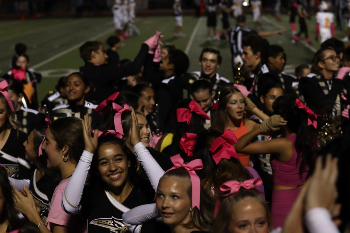 Cheerleaders and band cheering on the sidelines of the pink out game on Oct. 17. 