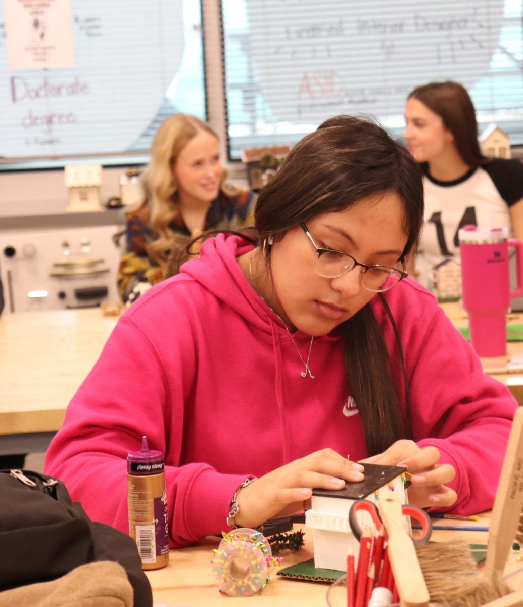 Do-It-Yourself Decor: Junior Ava Nuncio adding in decorations to her house. Her favorite part has been working to make her house look cute.  "I actually really like them," Ava said. "They're so fun and we get to be creative with them."